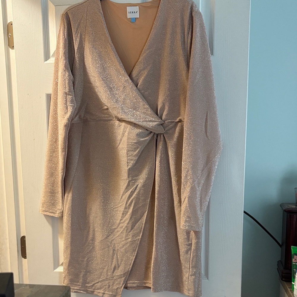 NWOT Serra Sparkling Beige Long Sleeve Dress